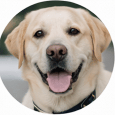 Michael Weber ⭐⭐⭐⭐⭐